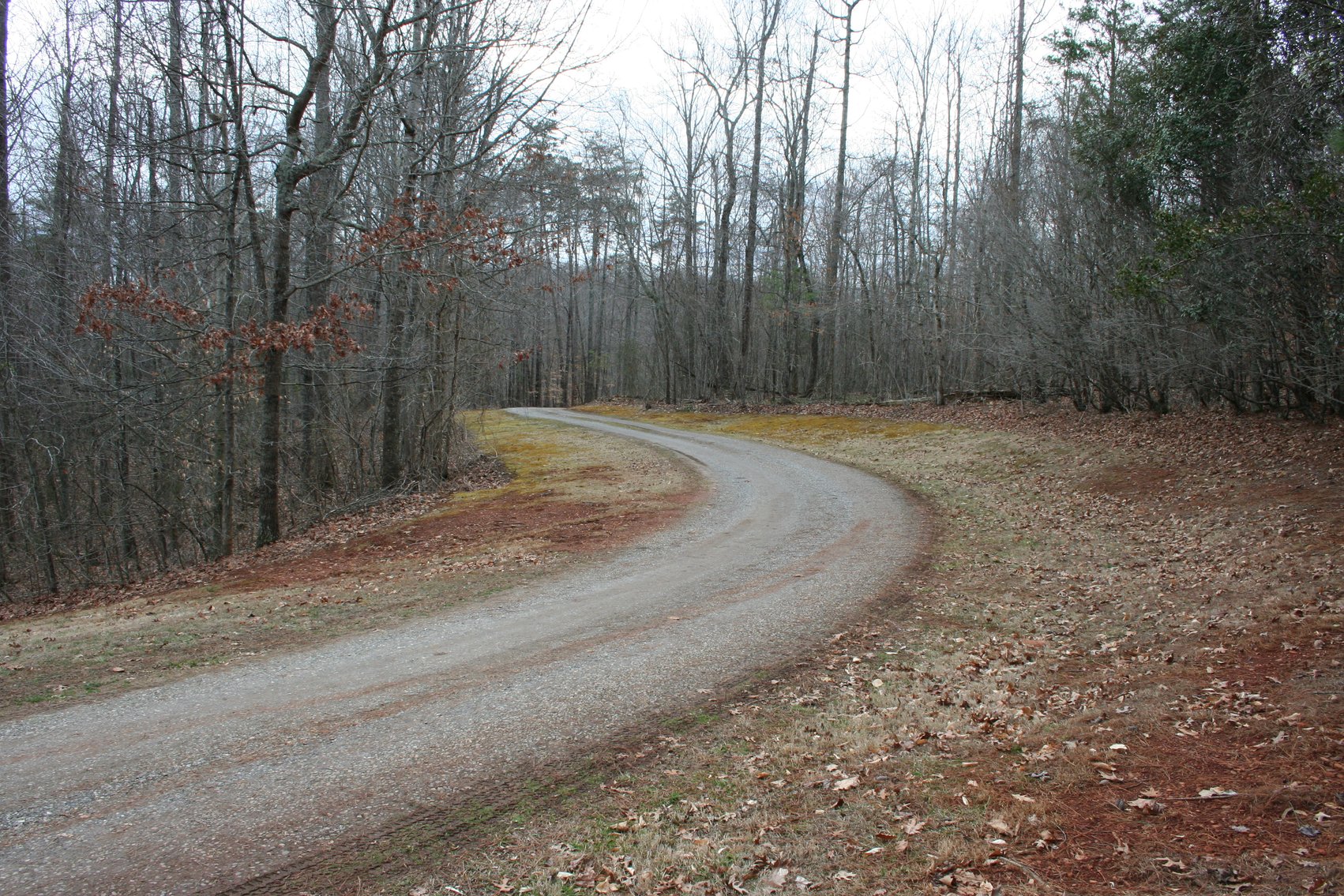 Image for Scenic Drive RE & PP