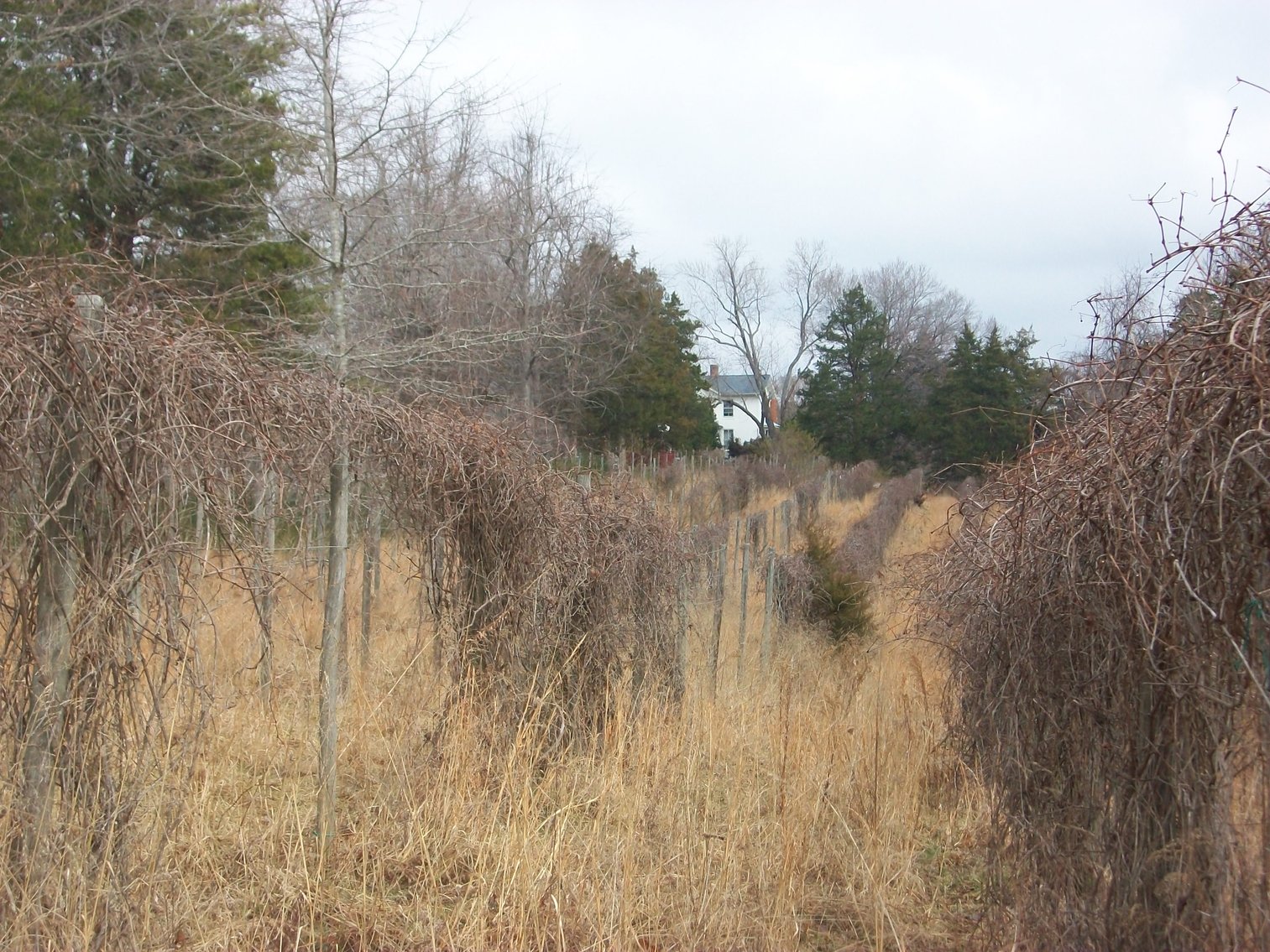 Image for FOR SALE - 55 HIGH MEADOWS LN., SCOTTSVILLE, VA