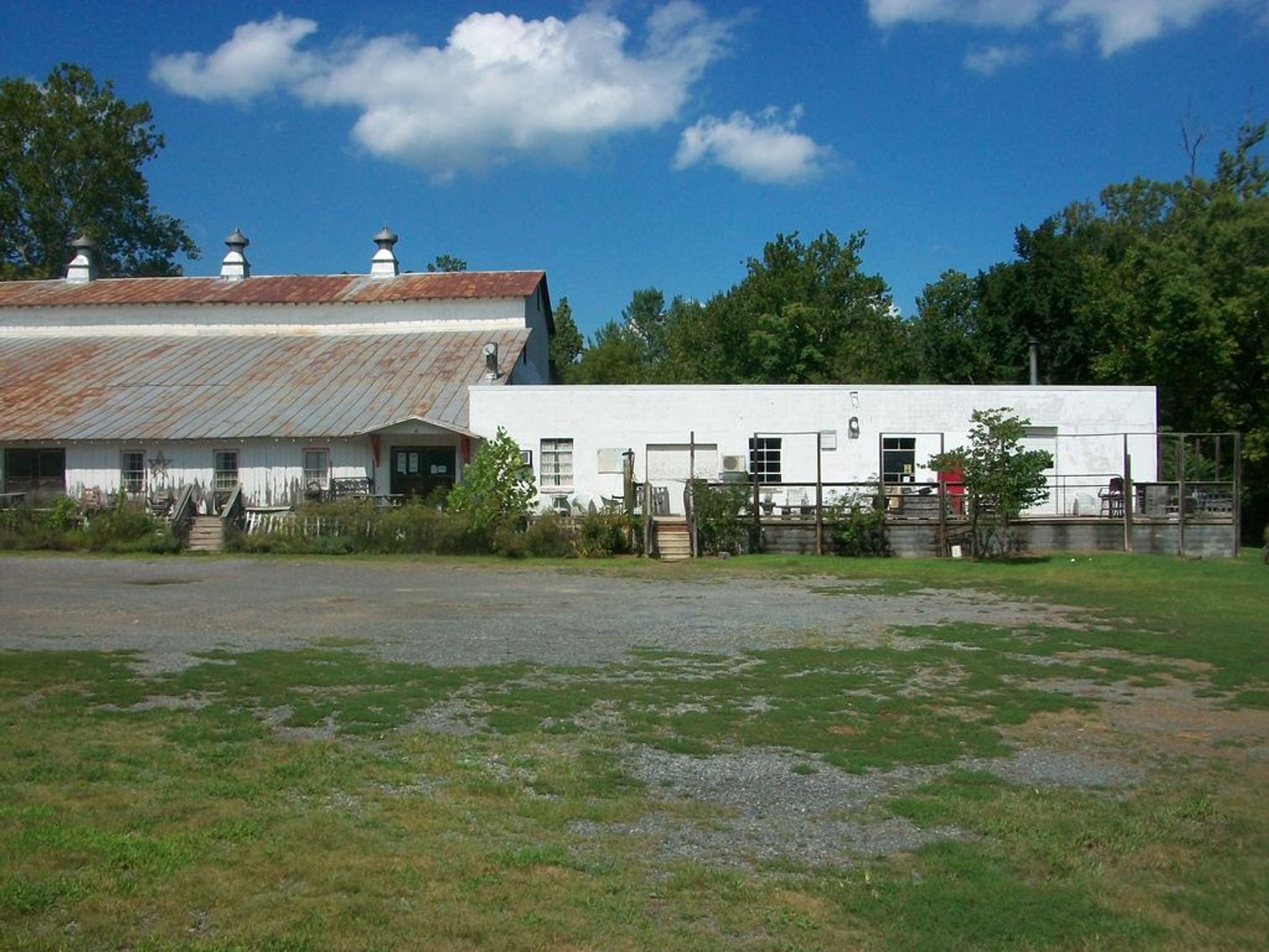 Image for Atlantic Union - Copper Fox