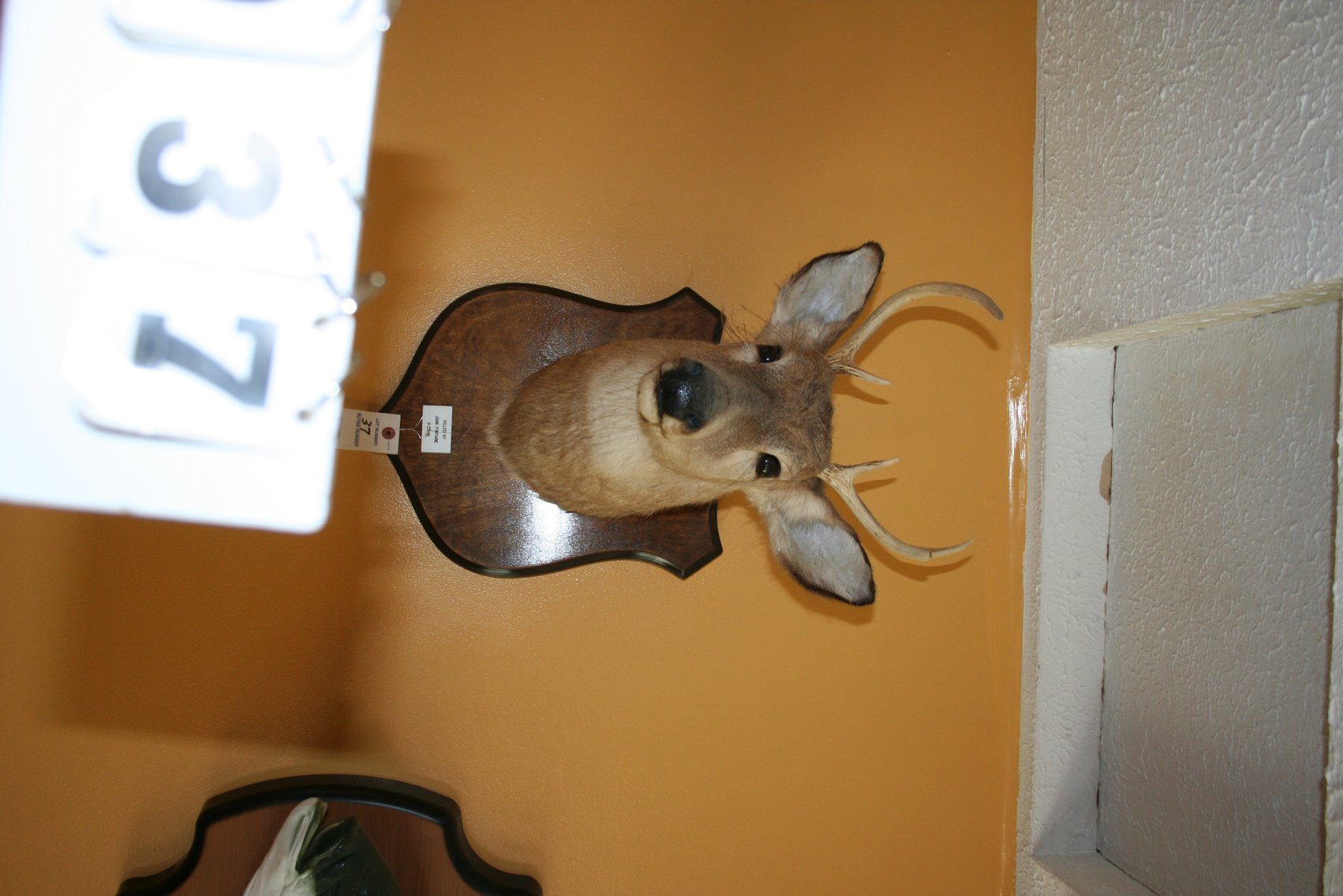 Image for Deer Mount
