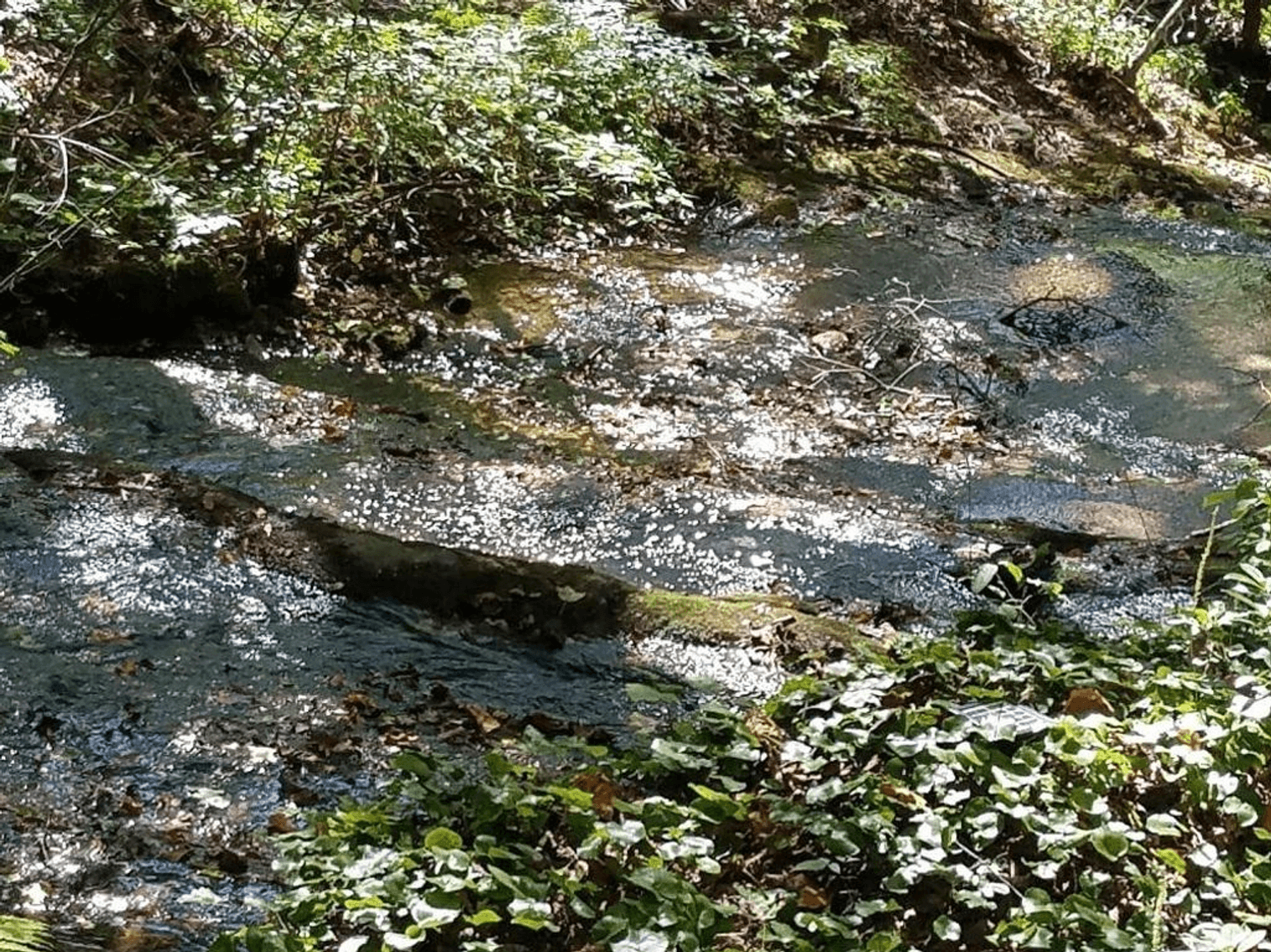 Image for 42 Waterside Court, Ellijay, GA - Bankruptcy Case #16-21136-JRS