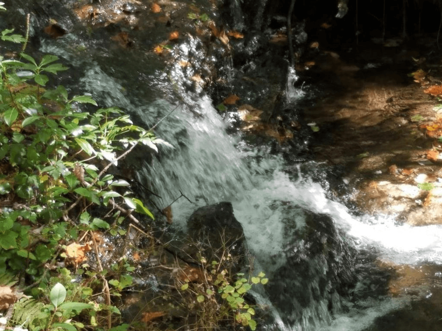 Image for 42 Waterside Court, Ellijay, GA - Bankruptcy Case #16-21136-JRS