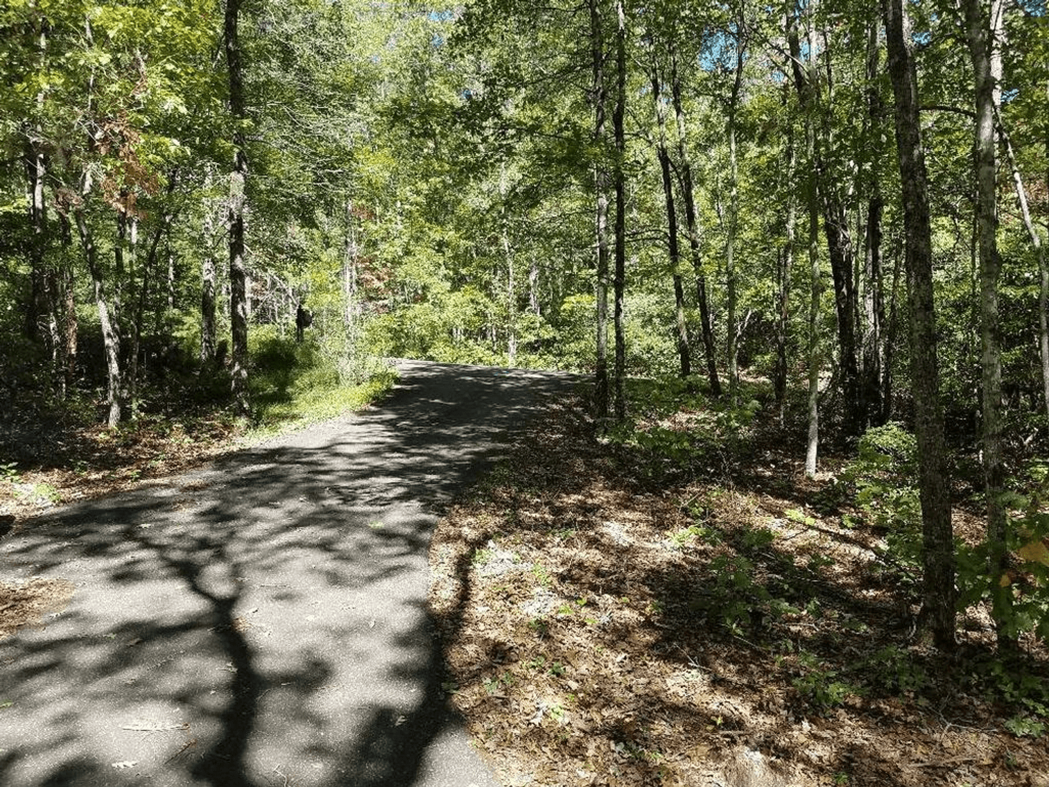 Image for 42 Waterside Court, Ellijay, GA - Bankruptcy Case #16-21136-JRS