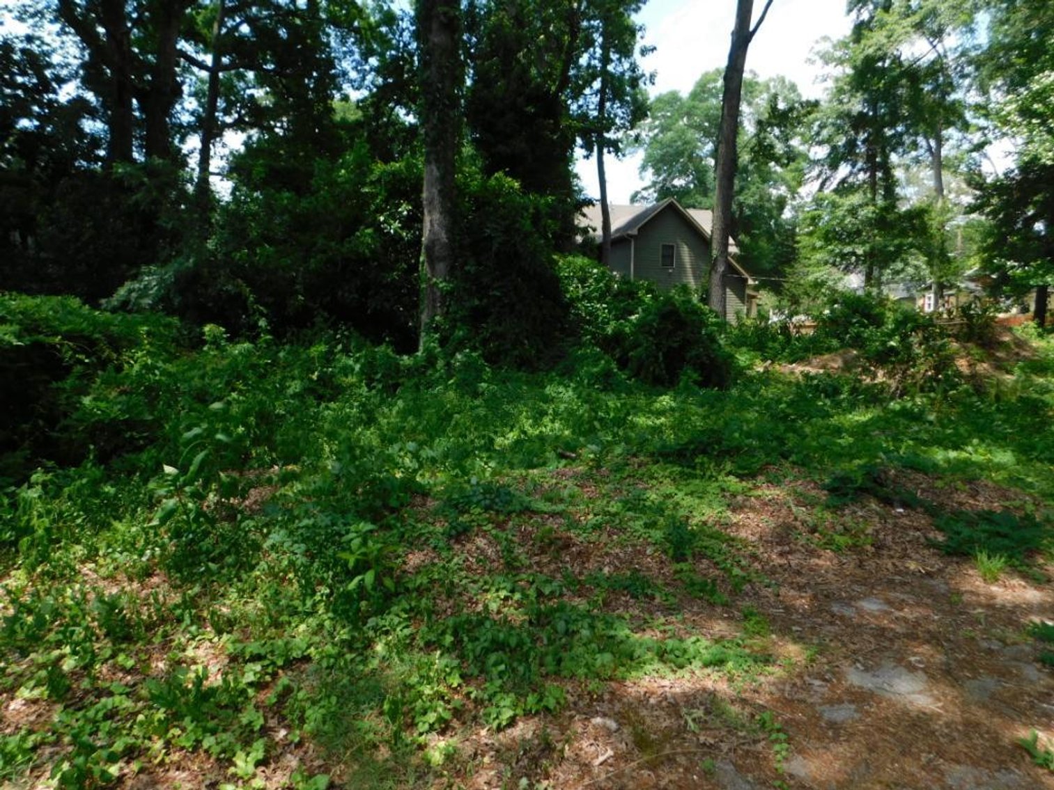 Image for East Lake Investment Property