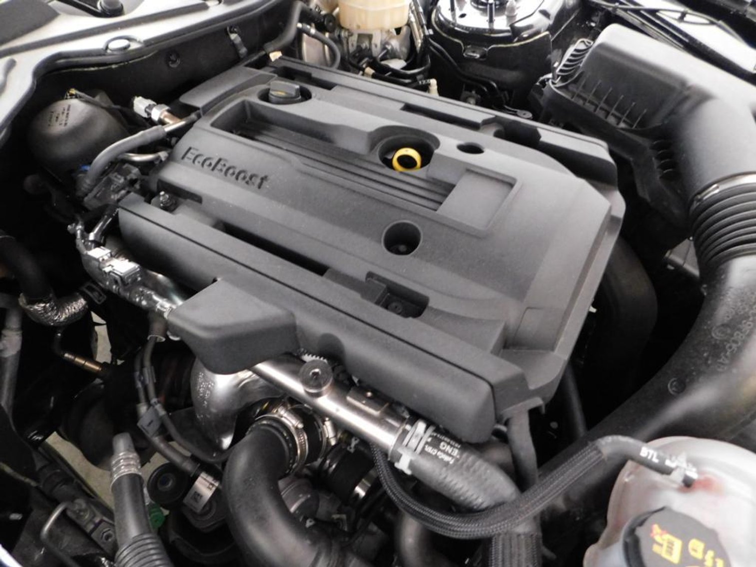 Image for 2018 Ford Mustang 2D Coupe