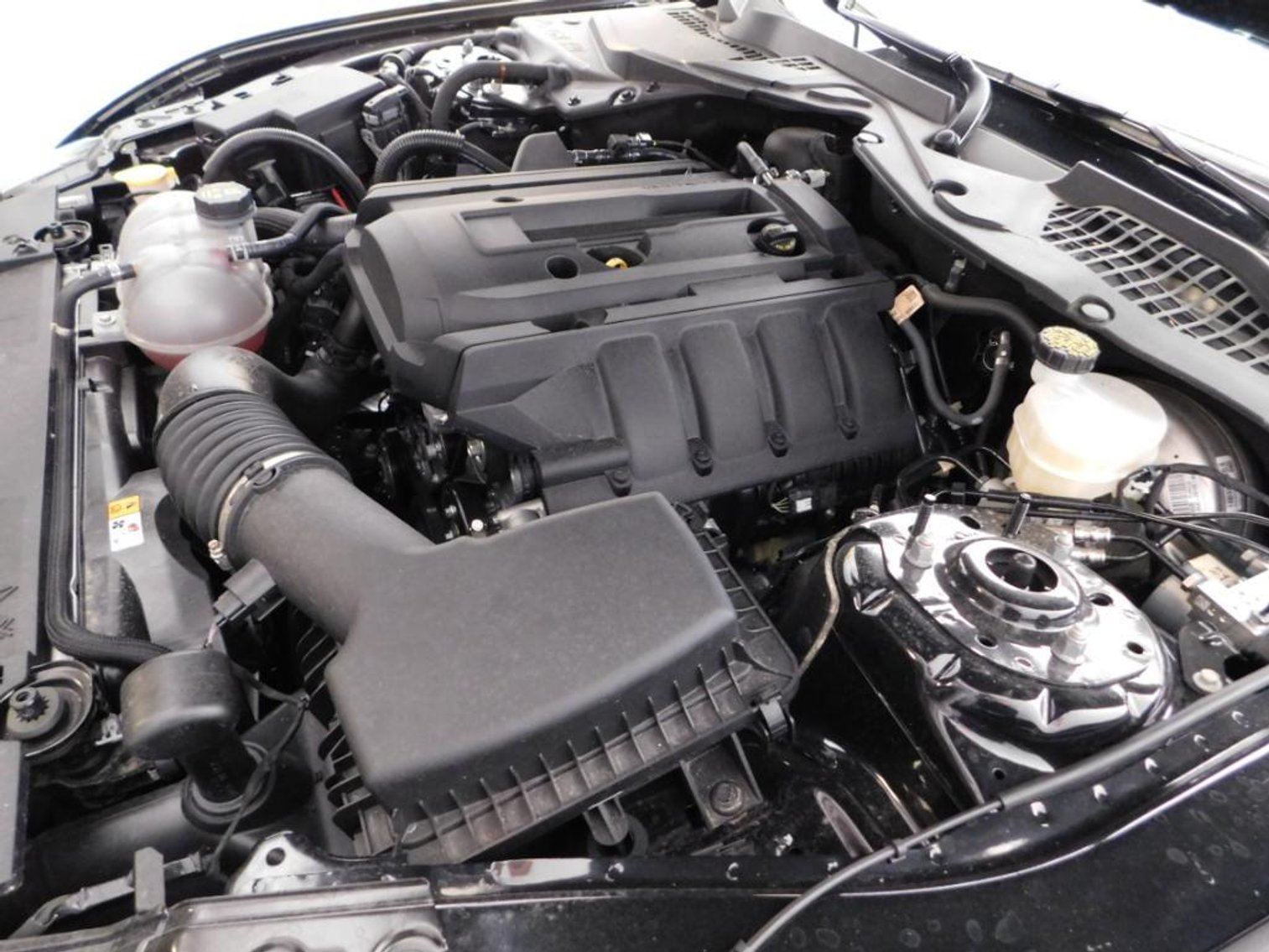 Image for 2018 Ford Mustang 2D Coupe