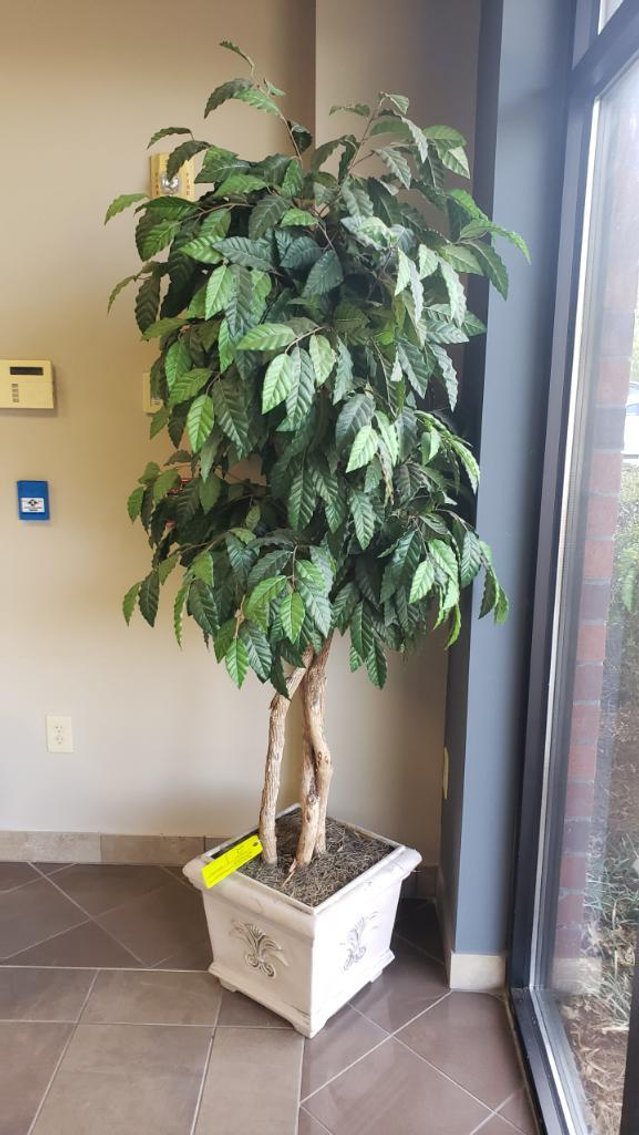 Image for Remaining Assets of Convention/Event Display Manufacturer