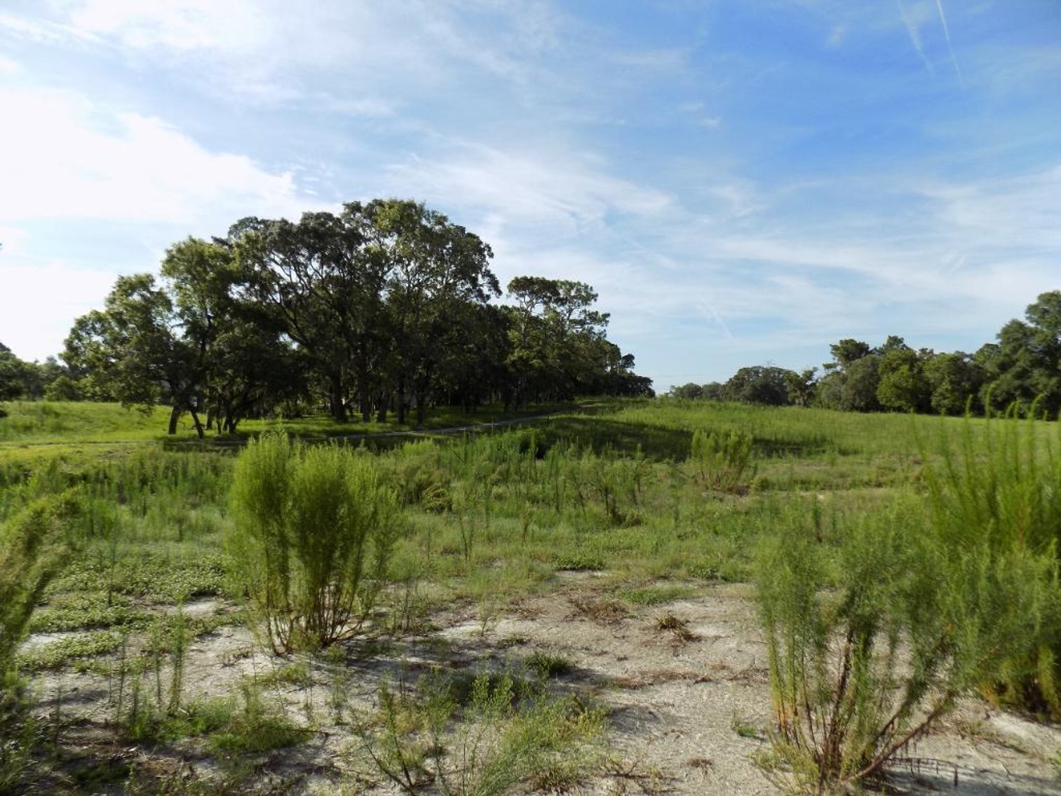 Image for Seven Hills Golf Club