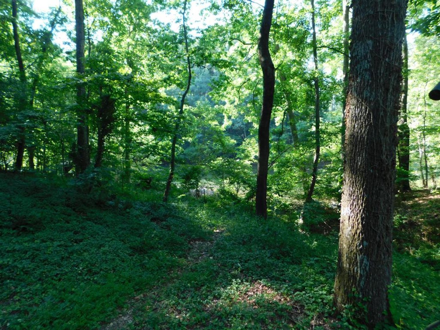 Image for House w/ Dock on Lake Lanier