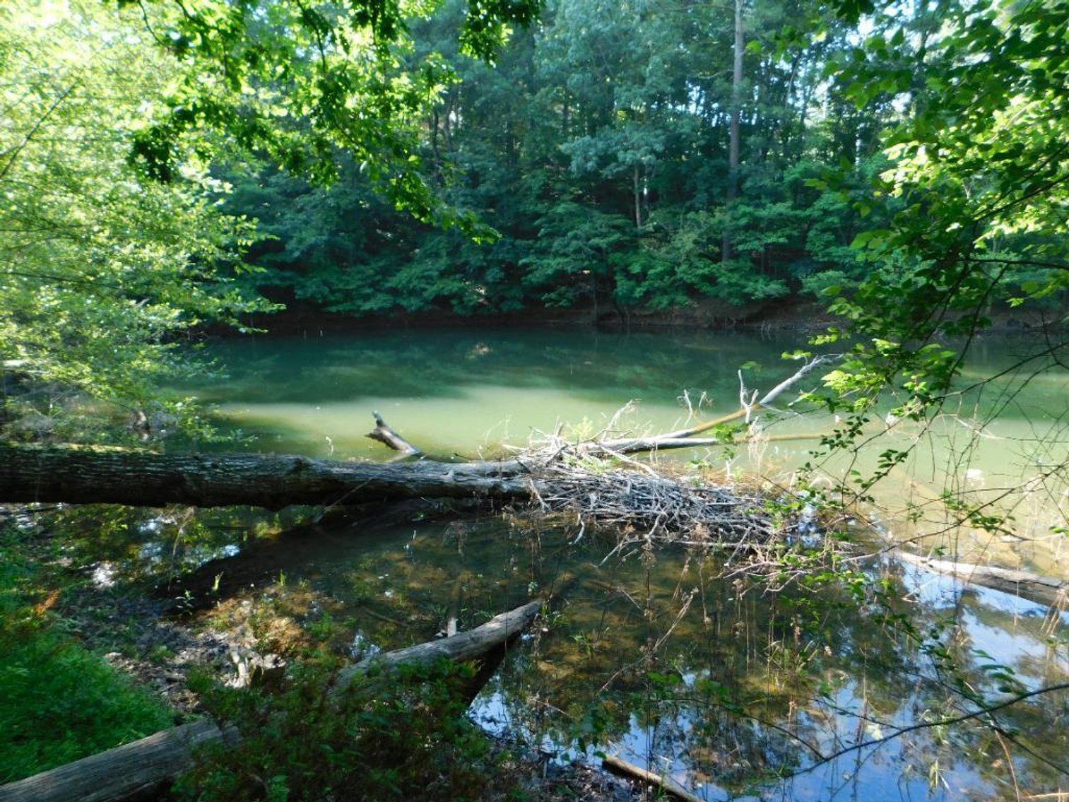 Image for House w/ Dock on Lake Lanier