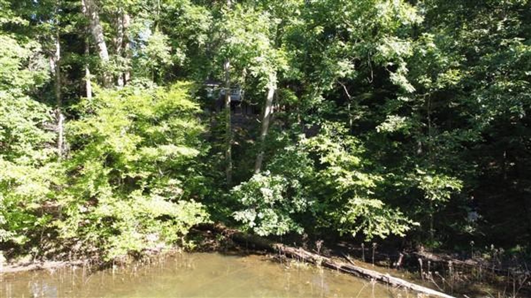 Image for House w/ Dock on Lake Lanier