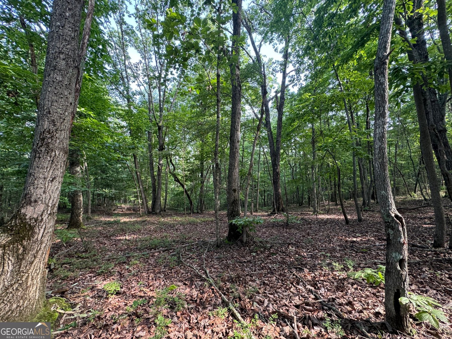 Image for Commercial Mountain Top Acreage in North Georgia