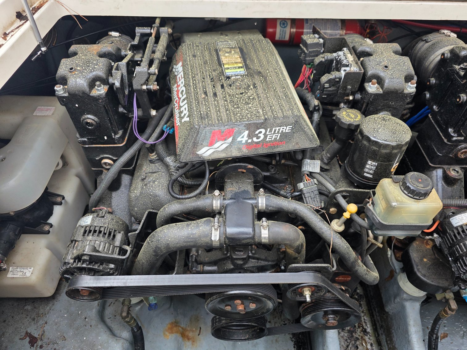 Image for 2001 Sea Ray Sundancer w/ 2024 Tarp Trailer