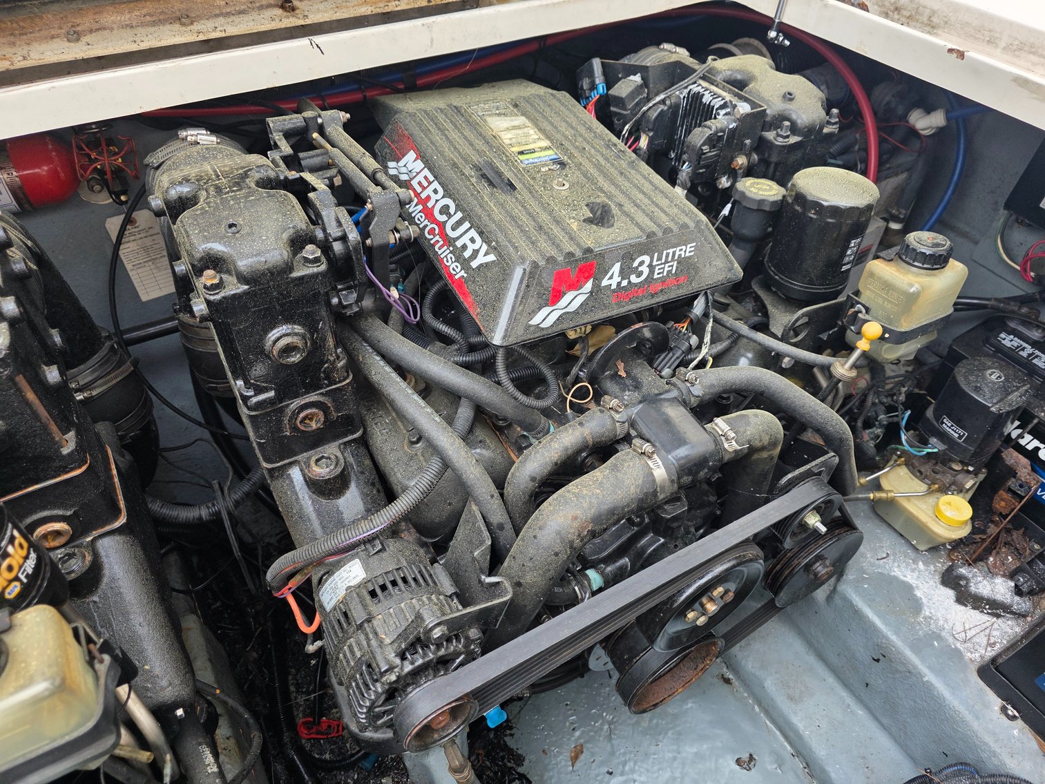 Image for 2001 Sea Ray Sundancer w/ 2024 Tarp Trailer