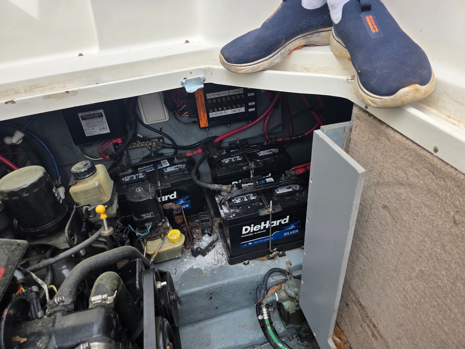 Image for 2001 Sea Ray Sundancer w/ 2024 Tarp Trailer