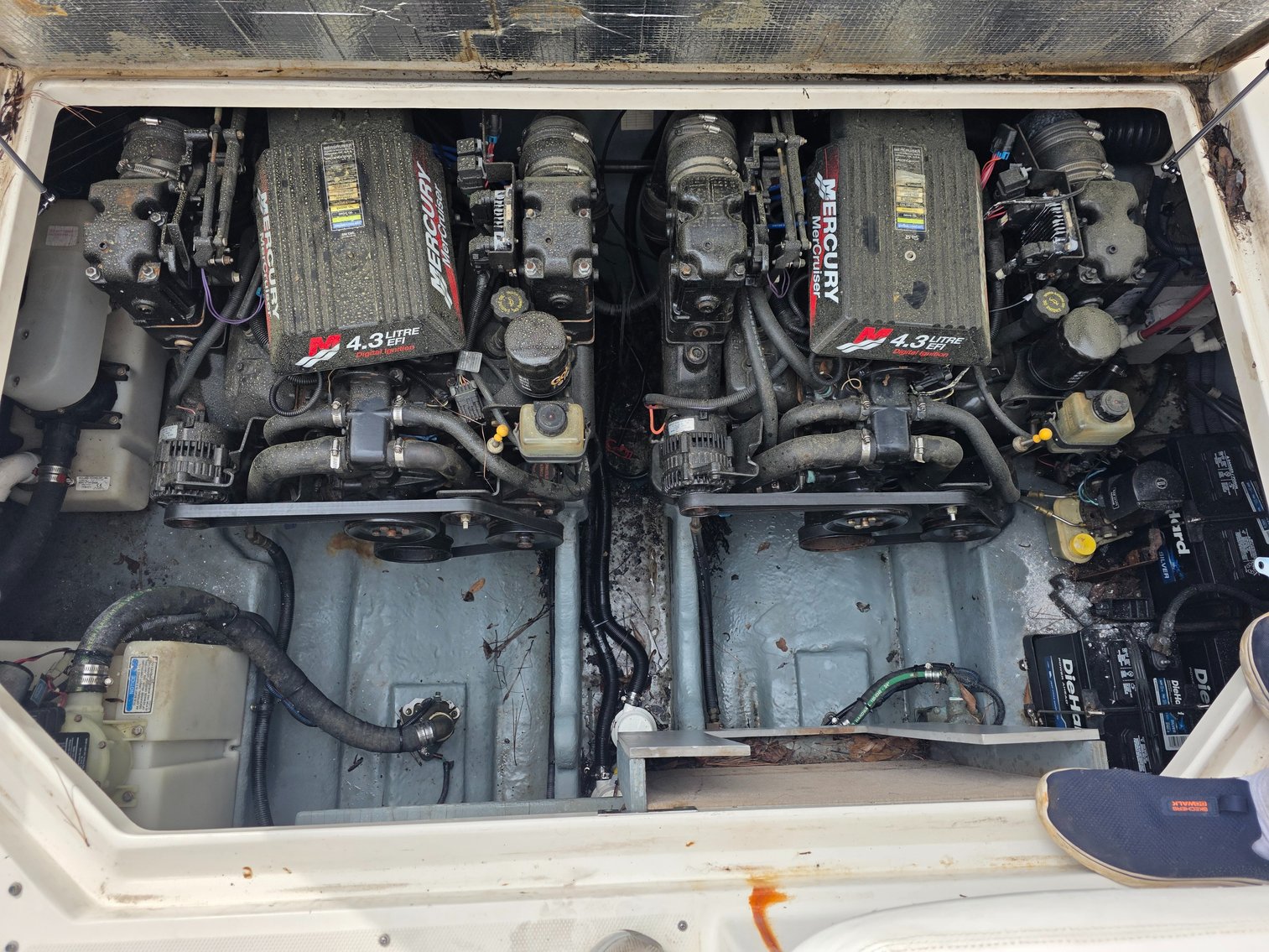 Image for 2001 Sea Ray Sundancer w/ 2024 Tarp Trailer