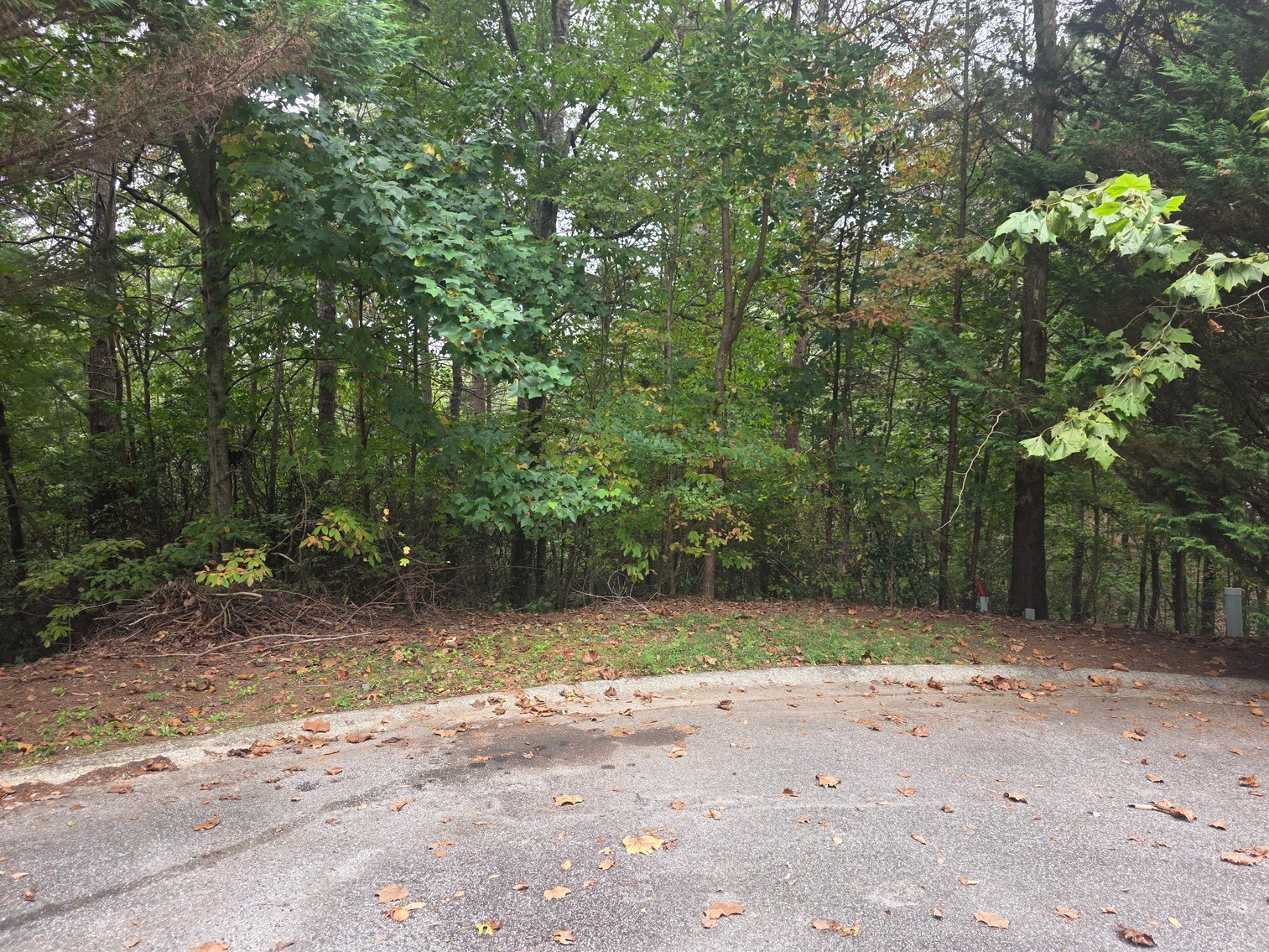 Image for 2 +/- Acre Lot in Innsbruck Golf Resort