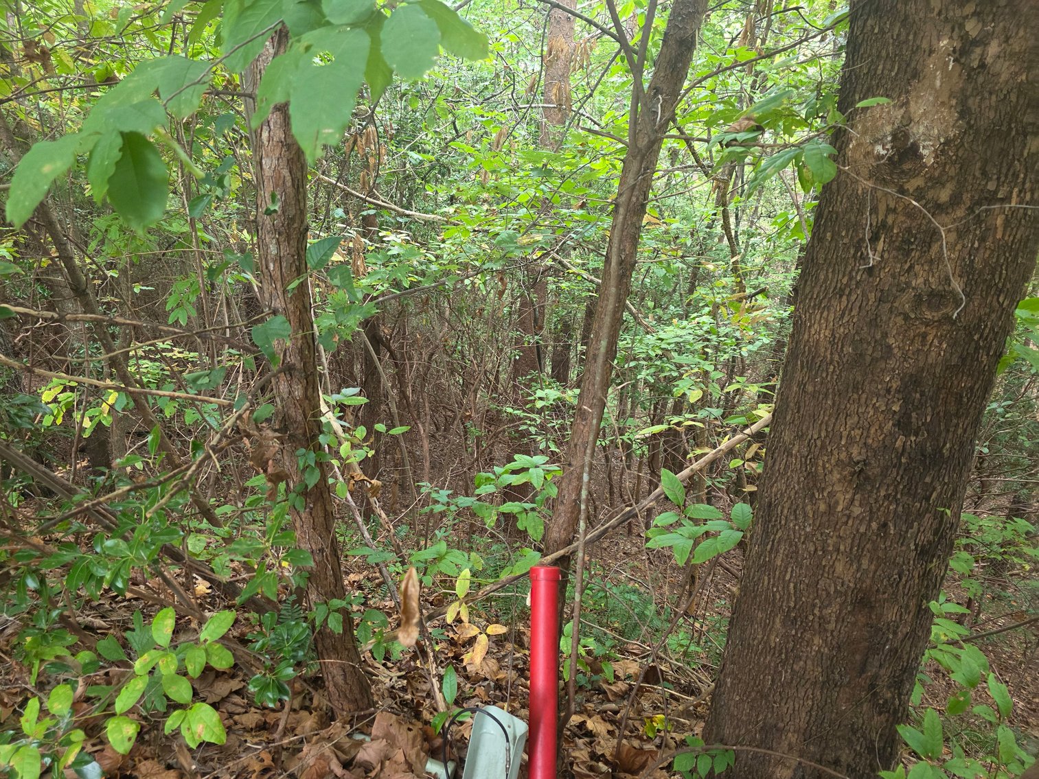 Image for 2 +/- Acre Lot in Innsbruck Golf Resort