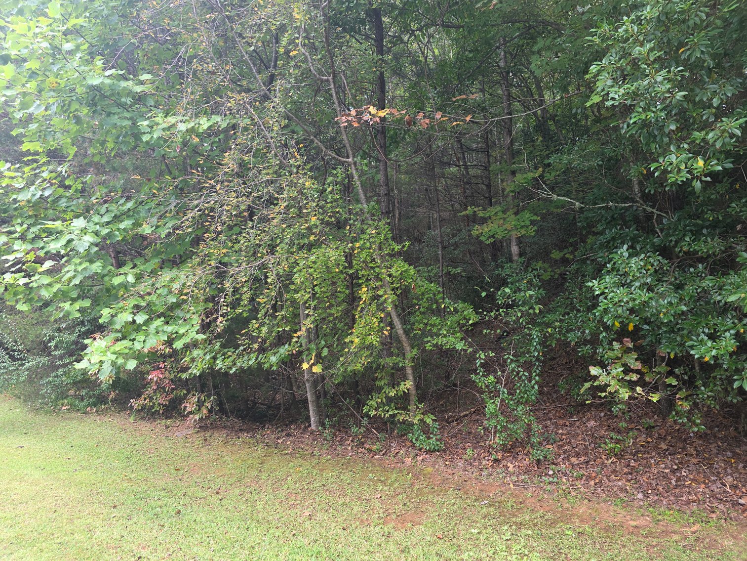 Image for 2 +/- Acre Lot in Innsbruck Golf Resort