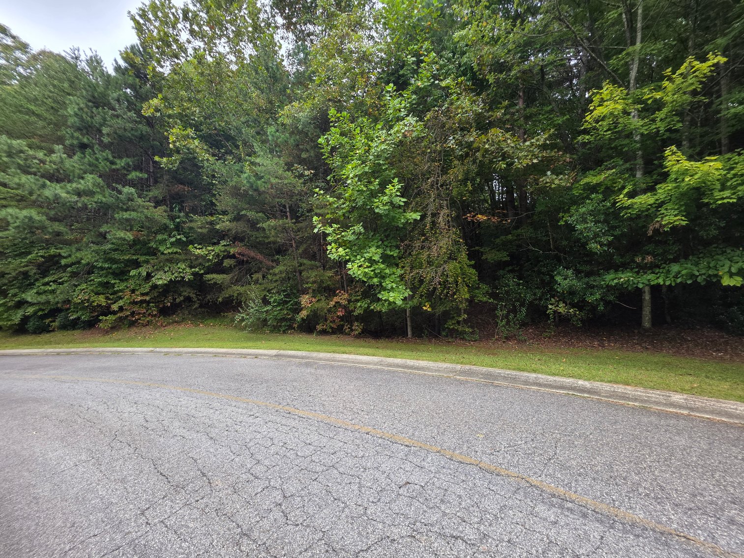 Image for 2 +/- Acre Lot in Innsbruck Golf Resort