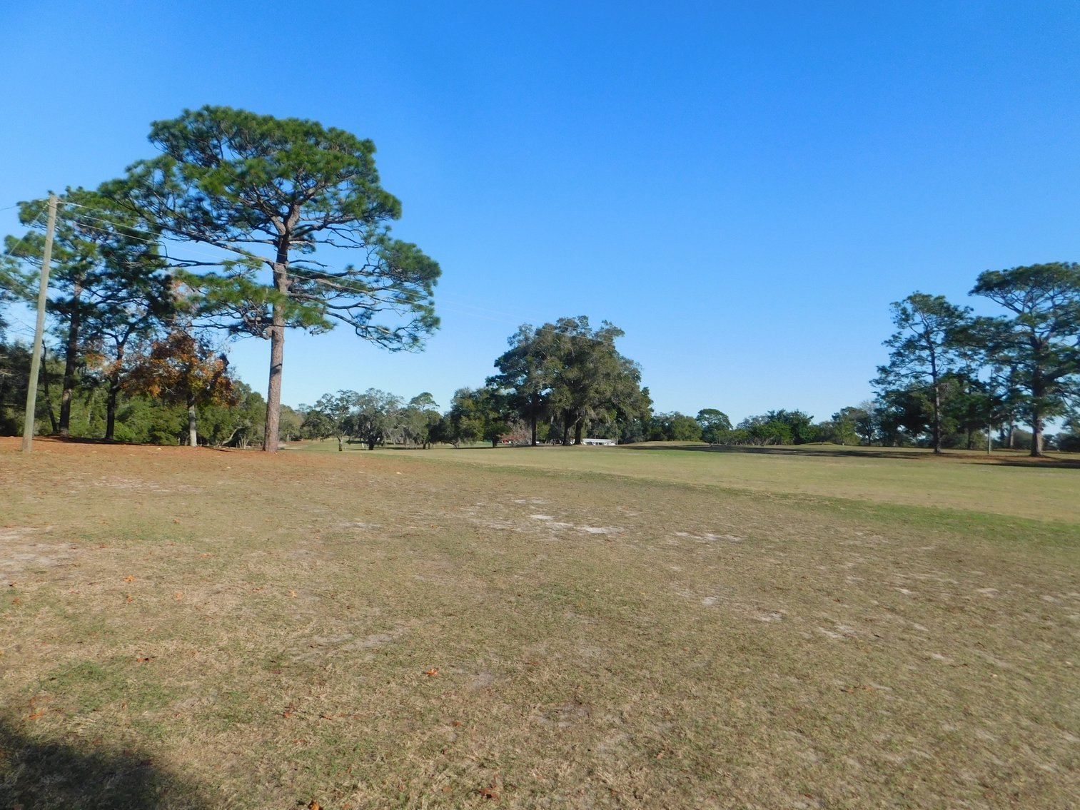 Image for Nine Hole Golf Course on 72+/- Acres in Marion County, FL