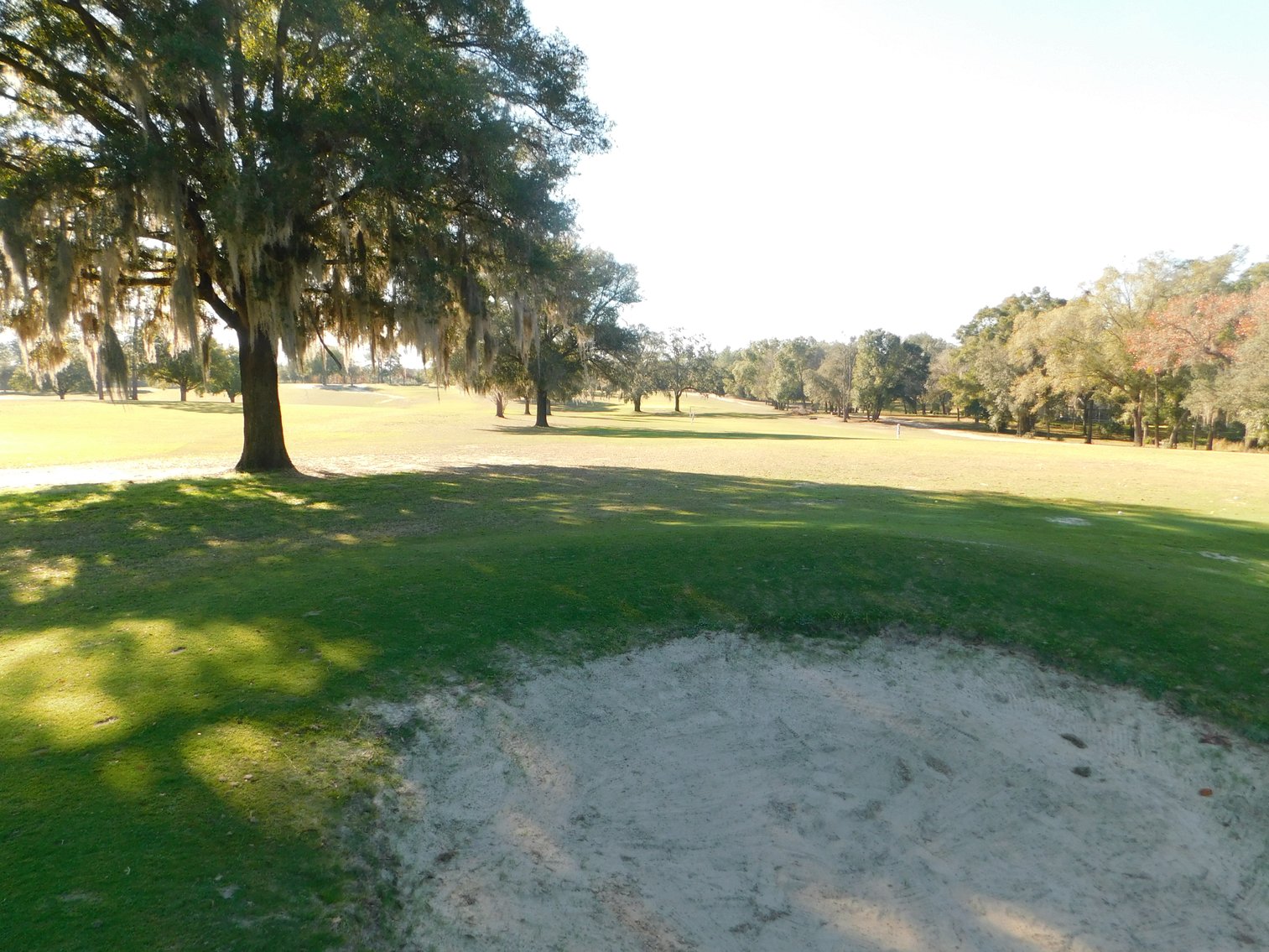 Image for Nine Hole Golf Course on 72+/- Acres in Marion County, FL