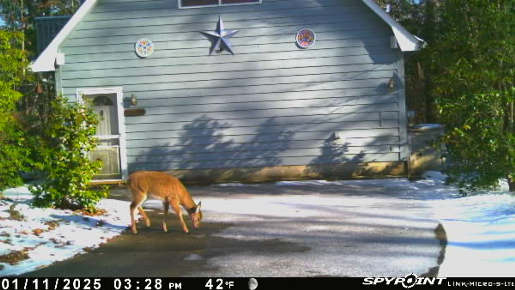 Image for 303 Cherokee Hills Drive, Pickens, SC 29671