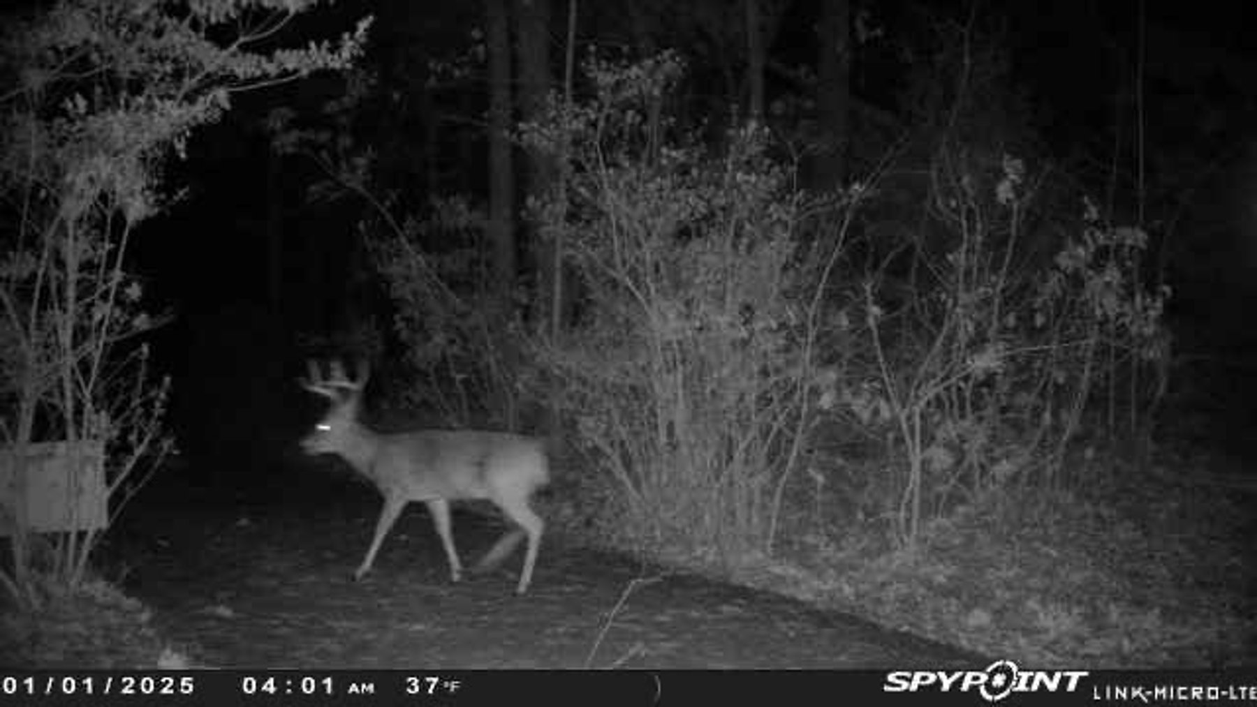 Image for 303 Cherokee Hills Drive, Pickens, SC 29671