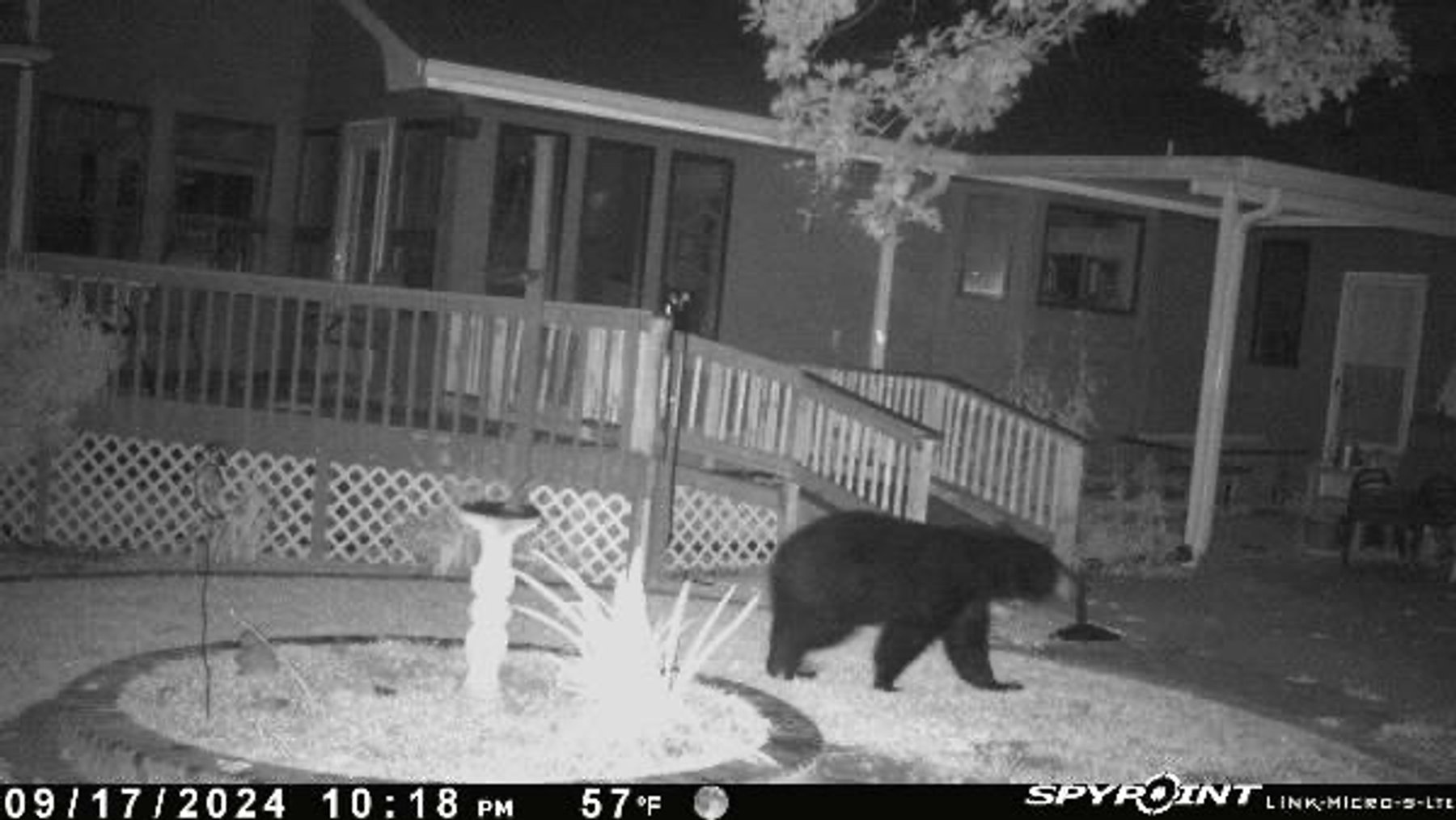 Image for 303 Cherokee Hills Drive, Pickens, SC 29671