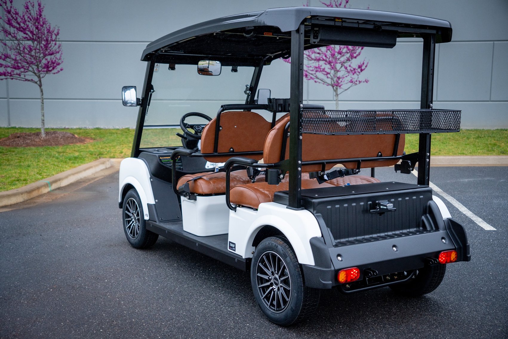 Image for TAGO Islander LSV to Benefit Arizona Children's Charities