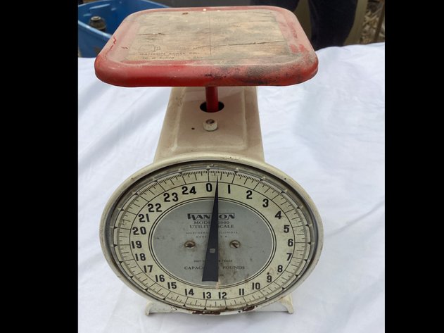 Image for Braun Estate And Guest Glendive MT