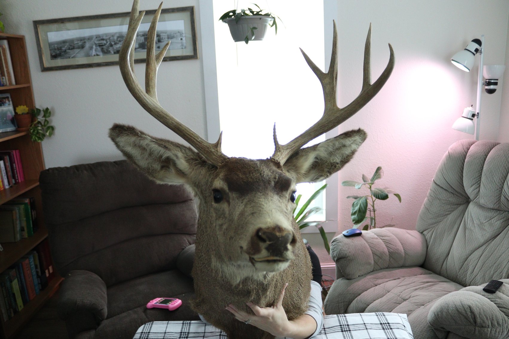 Image for McNall Overstock Online Auction