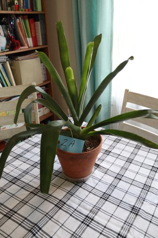 Image for McNall Overstock Online Auction