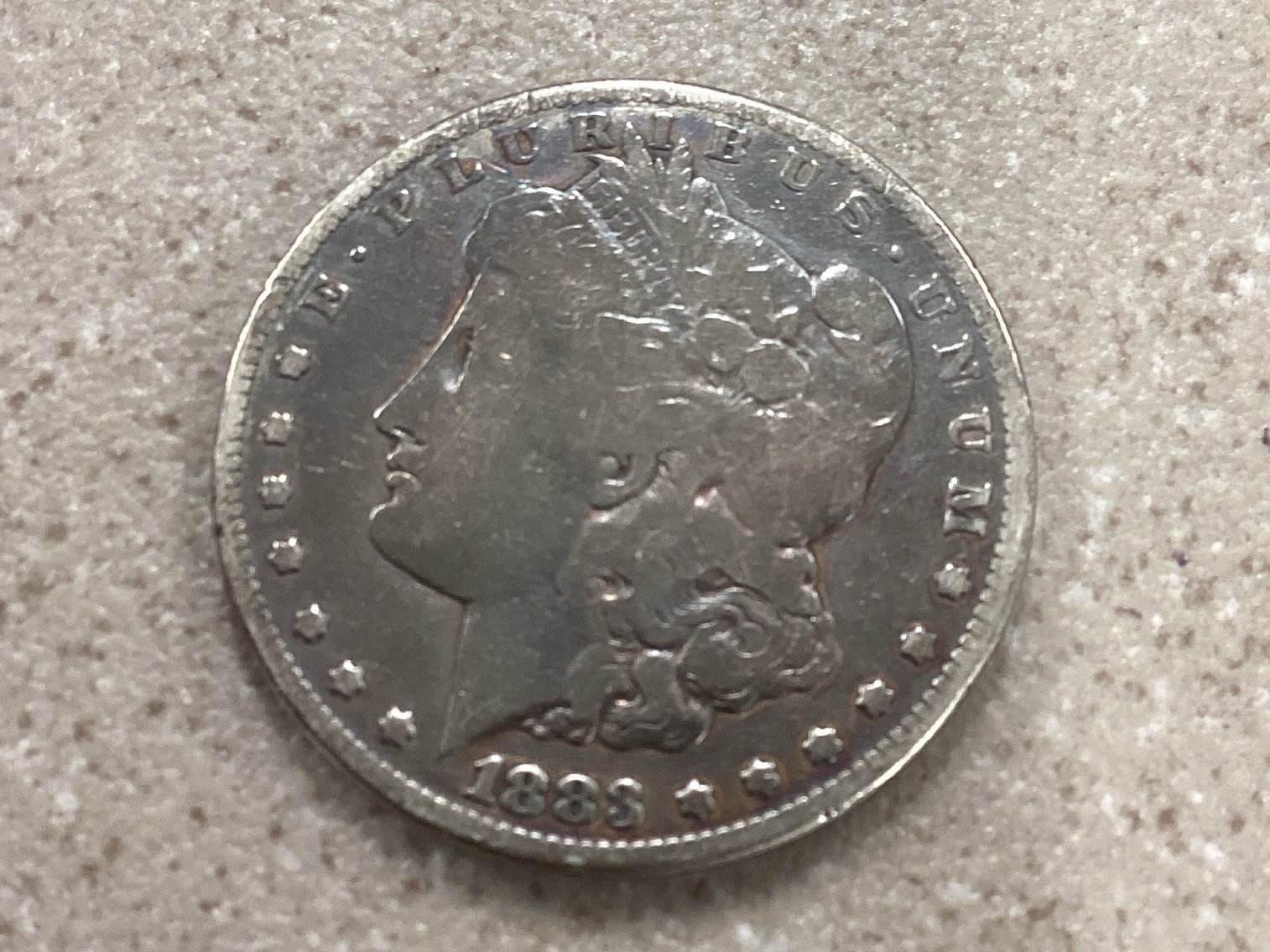 Image for Spring Fever Online Auction Glendive MT