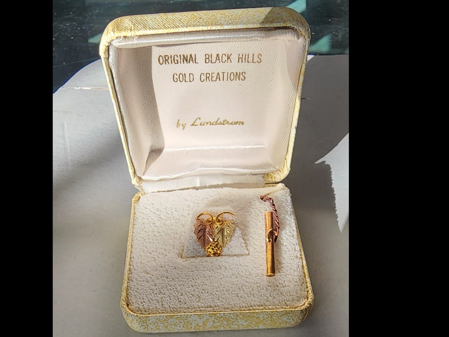 Image for Guns N Things And Guest