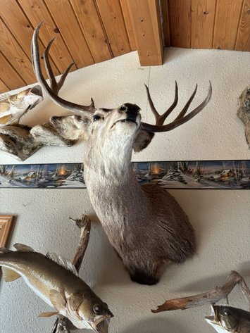 Image for 544 Road 547 Glendive MT