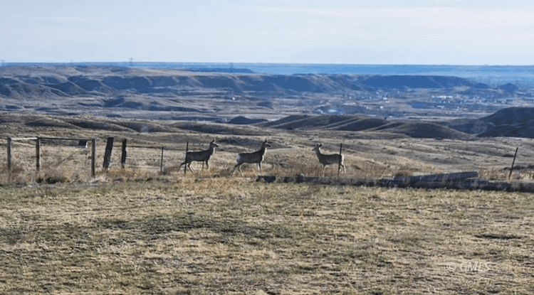 Image for 182 Road 238 Glendive MT