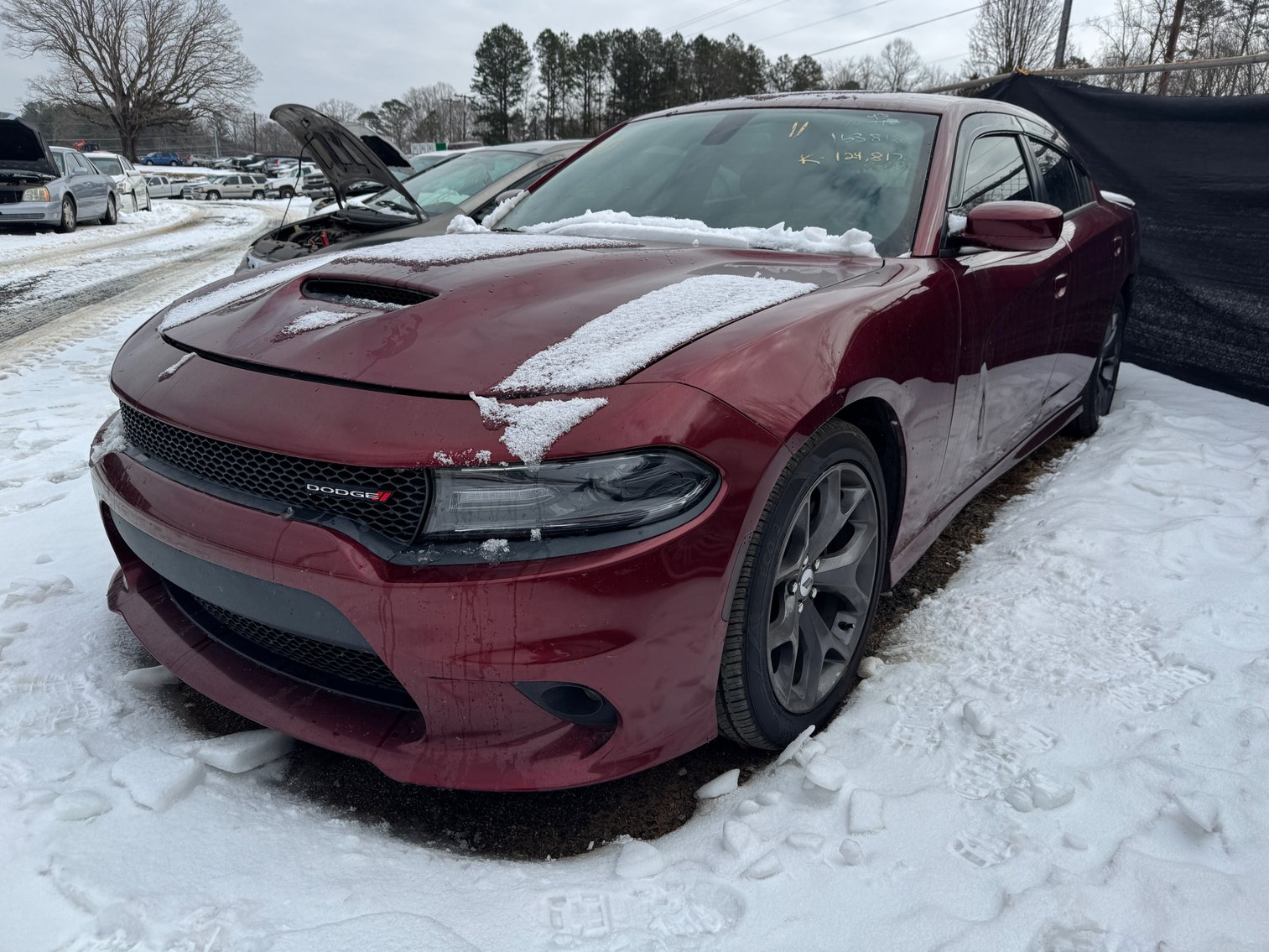 Image for February Public Auto Auction