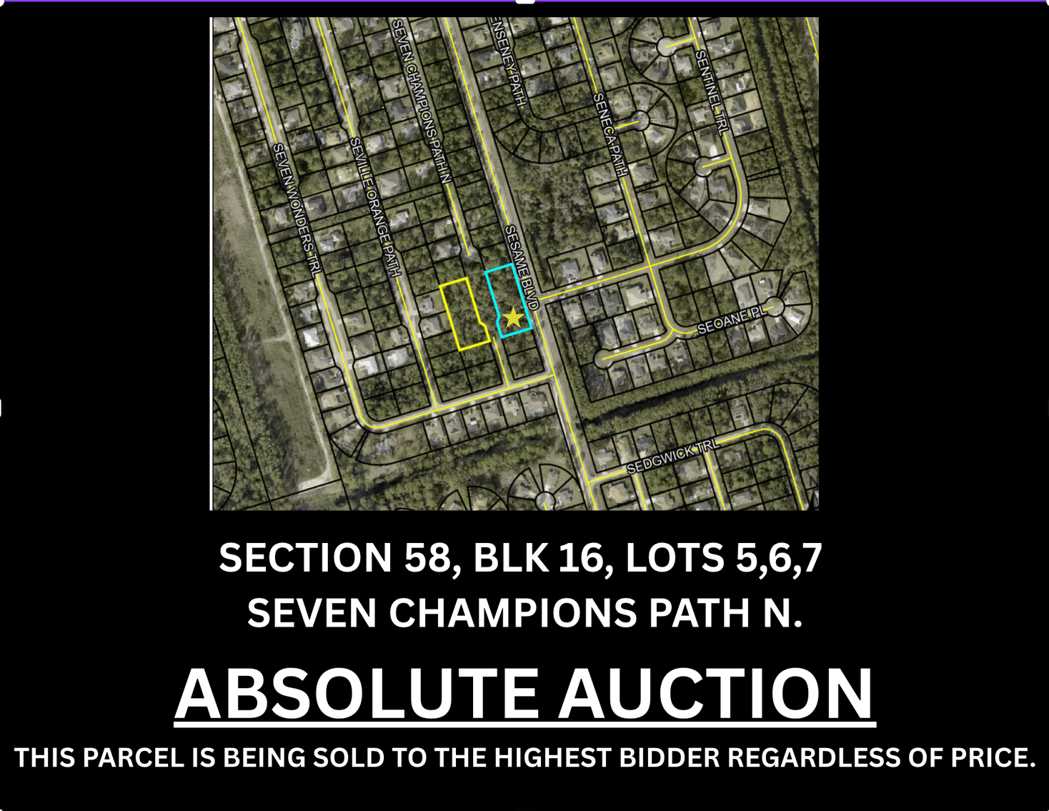 Image for 8 AMAZING LOTS IN PALM COAST!