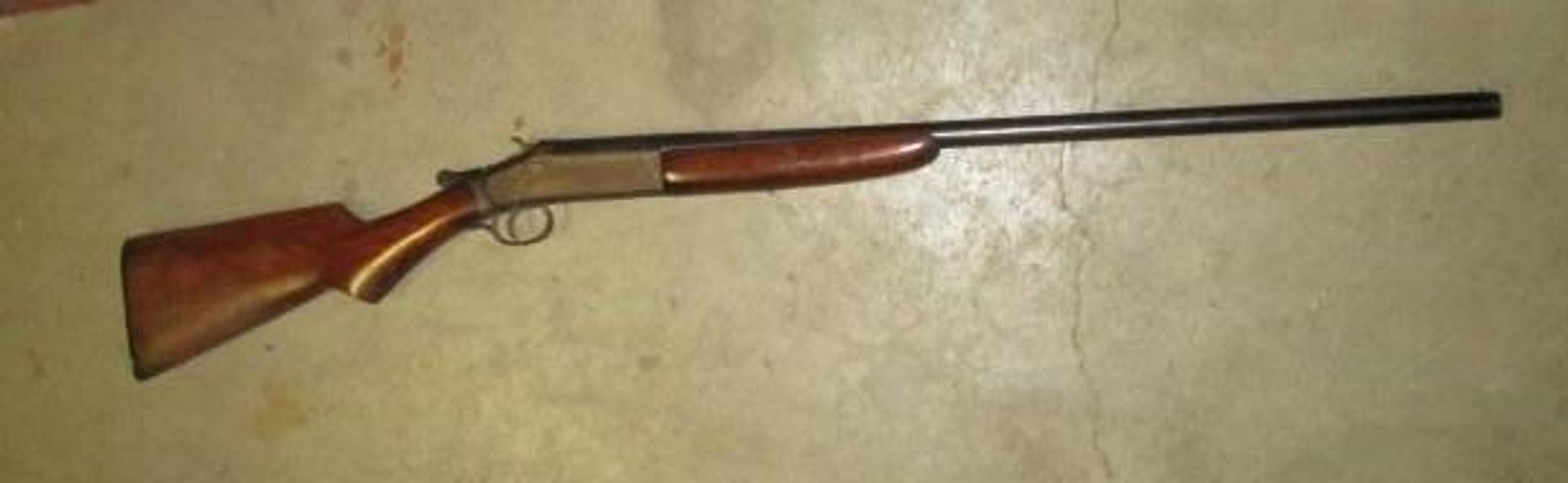 Image for William Petrich Estate #3