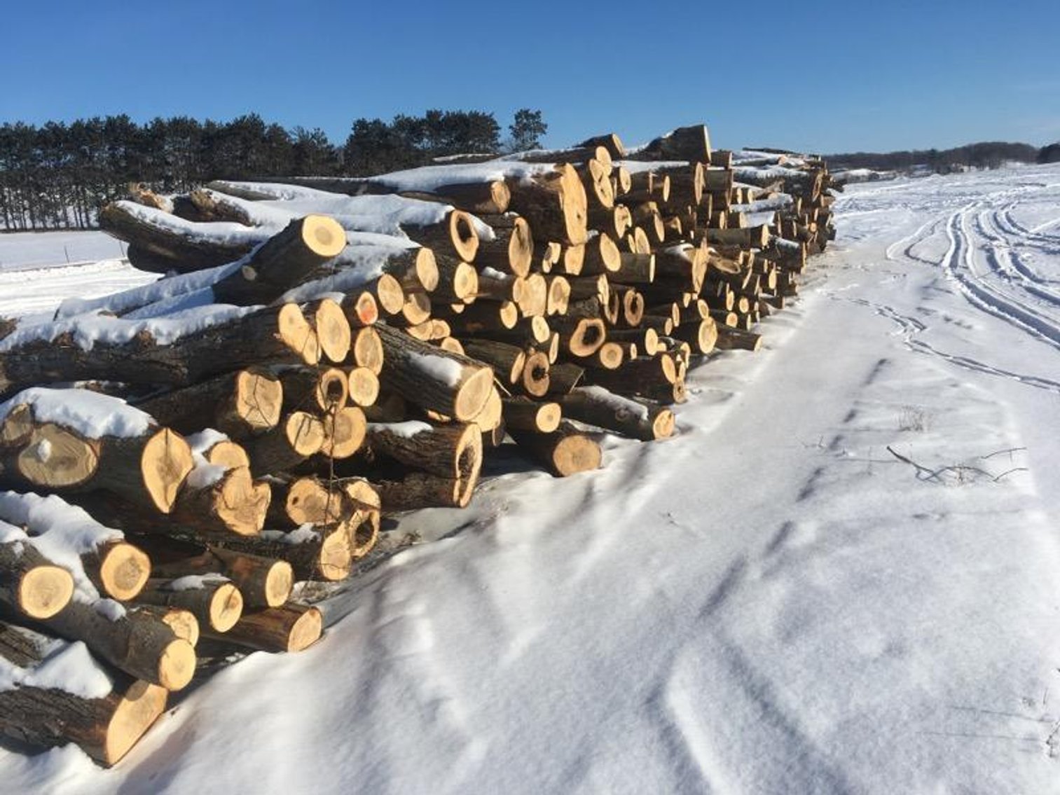 Image for Chevrolet Dually and Timber