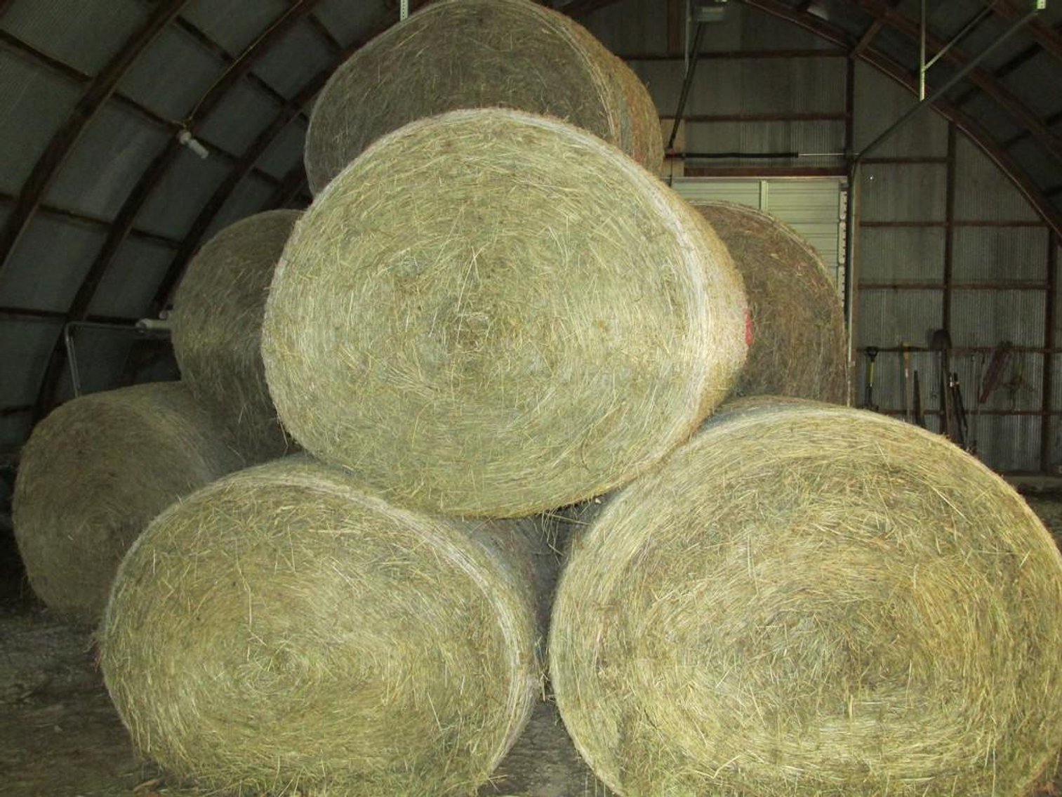 Image for Round Bales of Hay