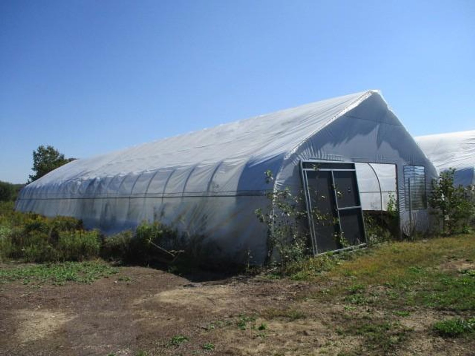 Image for Kinni Hemp Co. Liquidation