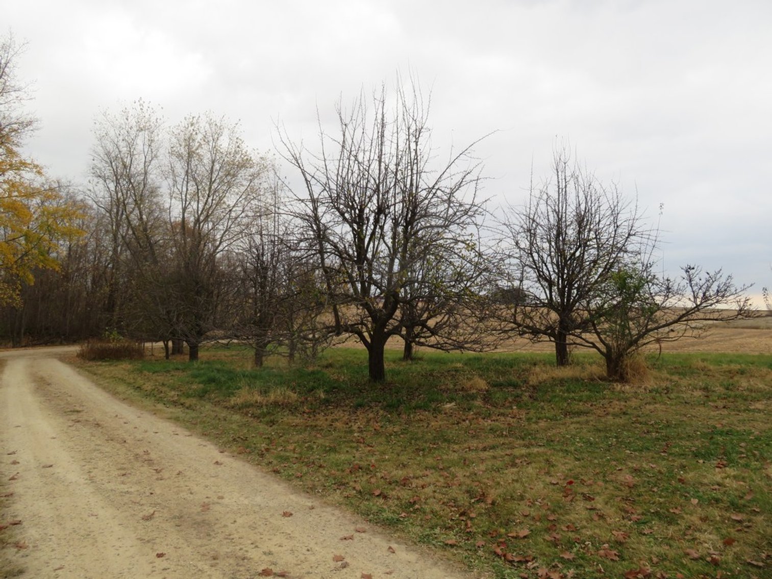 Image for Unique Country Home on 28 Acres