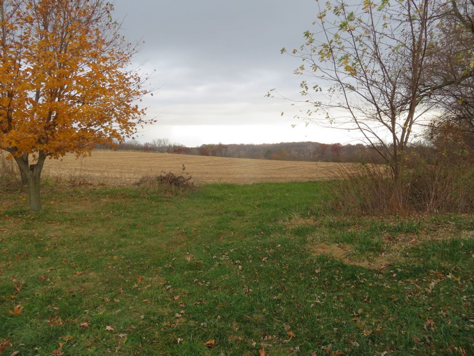 Image for Unique Country Home on 28 Acres