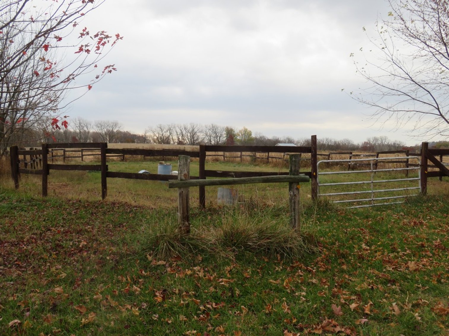 Image for Unique Country Home on 28 Acres