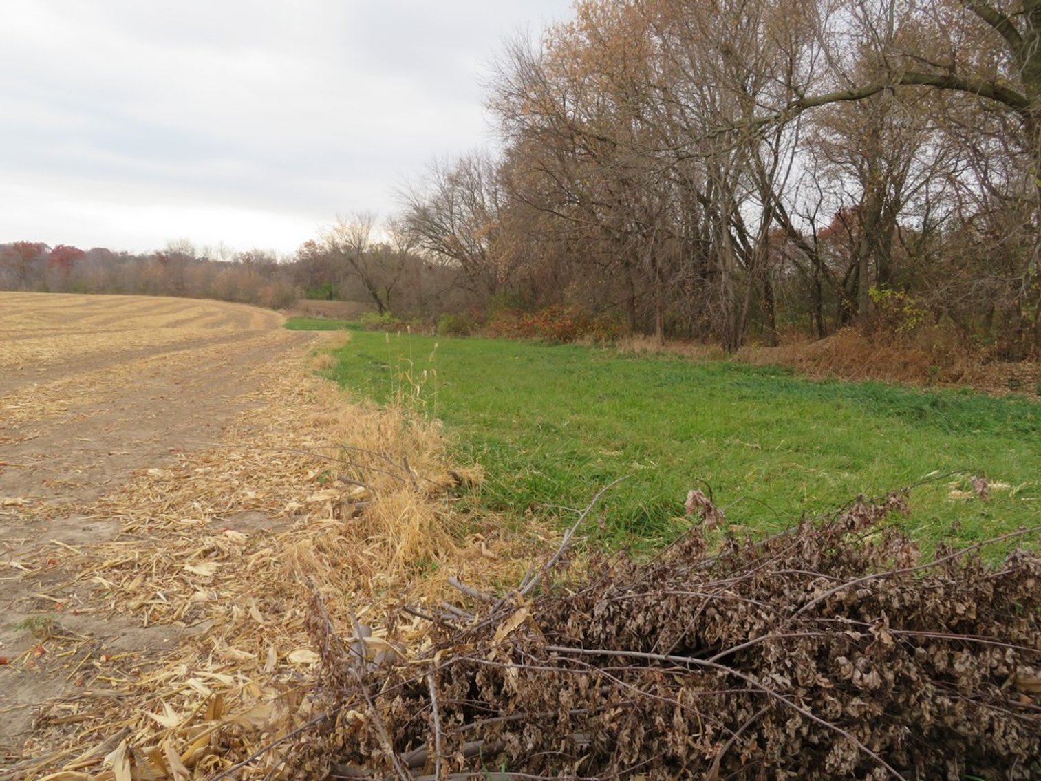 Image for Unique Country Home on 28 Acres