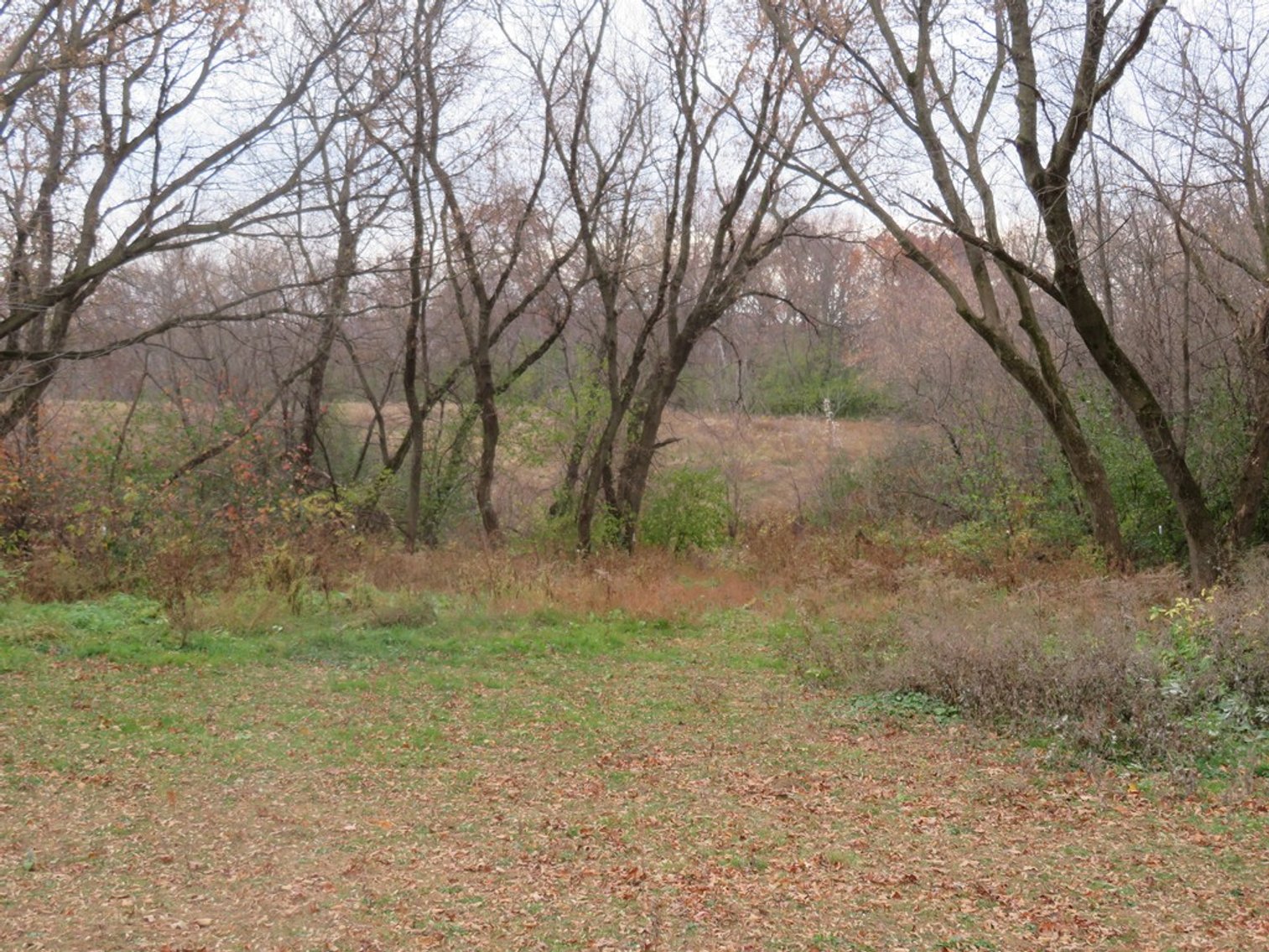 Image for Unique Country Home on 28 Acres