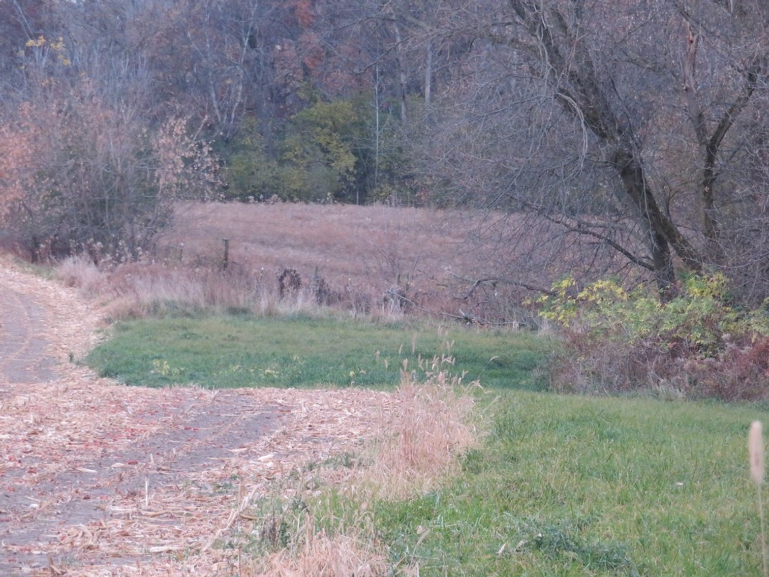 Image for Unique Country Home on 28 Acres
