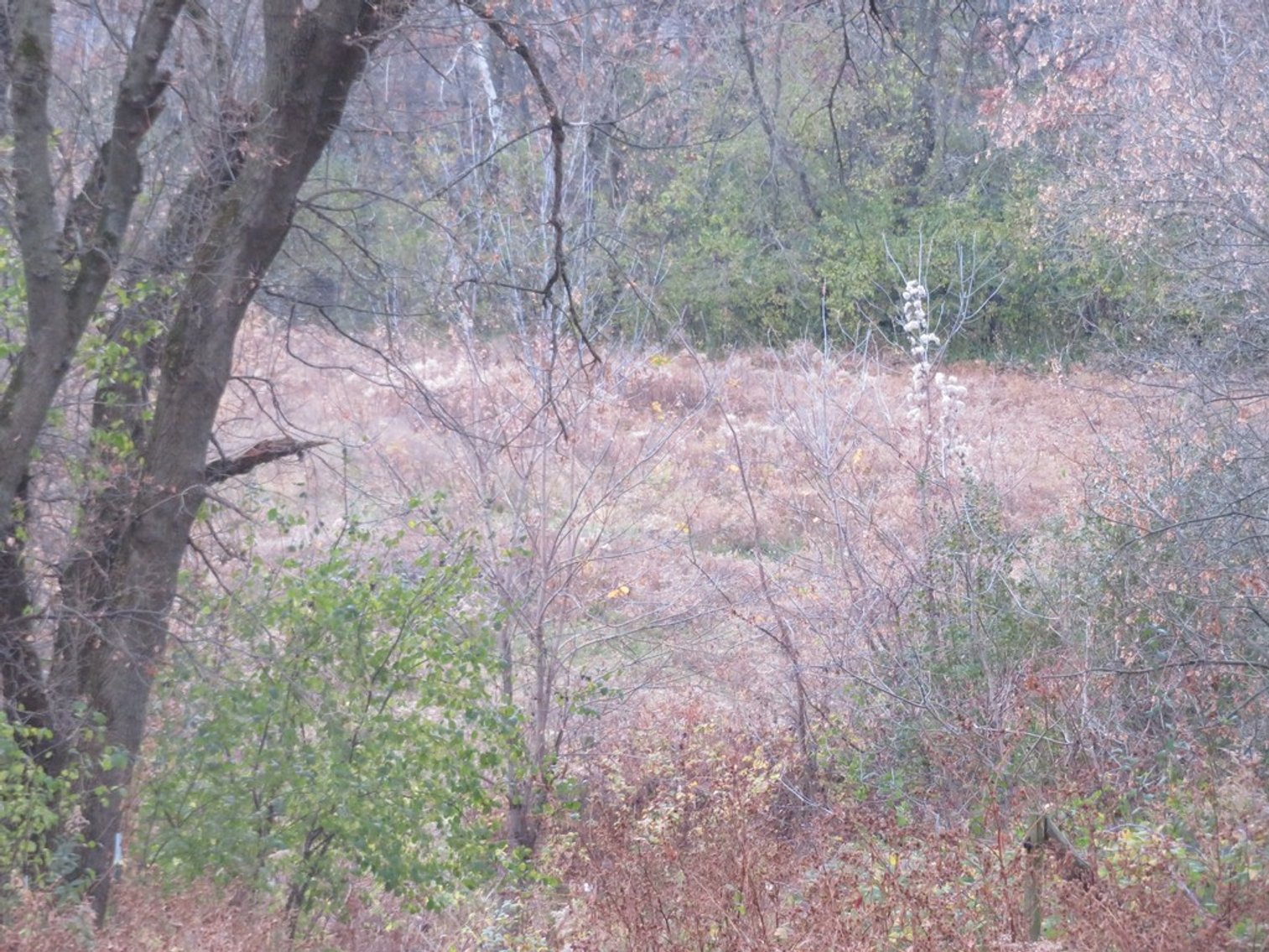 Image for Unique Country Home on 28 Acres